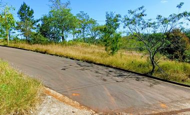 Terreno en Dos de Mayo centrico