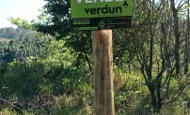 Terreno en Dos de Mayo centrico