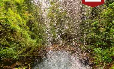 Chacra de 58 hectÃ¡reas