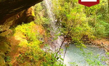 Chacra de 58 hectÃ¡reas