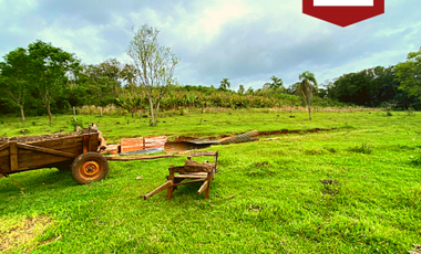 Chacra de 58 hectÃ¡reas