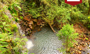 Chacra de 58 hectÃ¡reas