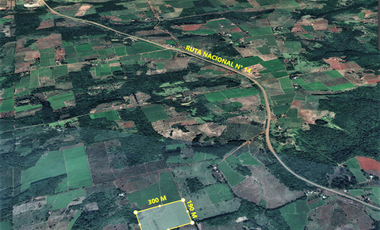 Vendo Chacra de 5,70 hectareas de te