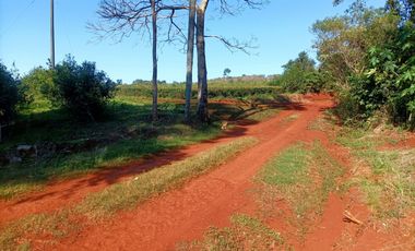 Vendo Chacra de 5,70 hectareas de te