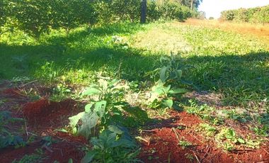 Vendo Chacra de 5,70 hectareas de te