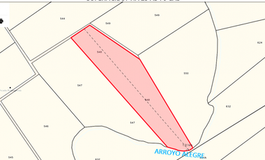 VENDO CHACRA CAMPO LOTE AGRICOLA CON RIQUEZA FORESTAL 37,25 ha