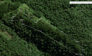 VENDO CHACRA CAMPO LOTE AGRICOLA CON RIQUEZA FORESTAL 37,25 ha
