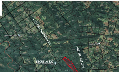 VENDO CHACRA CAMPO LOTE AGRICOLA CON RIQUEZA FORESTAL 37,25 ha