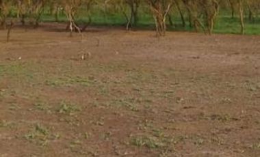 LIQUIDAMOS GRAN FRACCION DE TERRENO ZONA URDINARRAIN