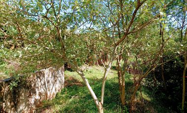 Terreno en Venta sobre Av. de Las Americas