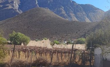 SE VENDE CASA EN VICUÑA