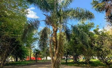 CaÃ±uelas - Nuevo Ecobarrio La Arbolada - Tu rincon en el mundo!
