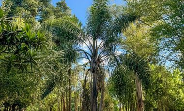 CaÃ±uelas - Nuevo Ecobarrio La Arbolada - Tu rincon en el mundo!