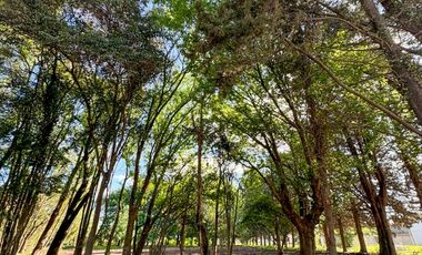 CaÃ±uelas - Nuevo Ecobarrio La Arbolada - Tu rincon en el mundo!