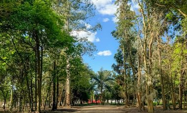 CaÃ±uelas - Nuevo Ecobarrio La Arbolada - Tu rincon en el mundo!