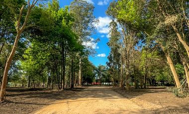 CaÃ±uelas - Nuevo Ecobarrio La Arbolada - Tu rincon en el mundo!