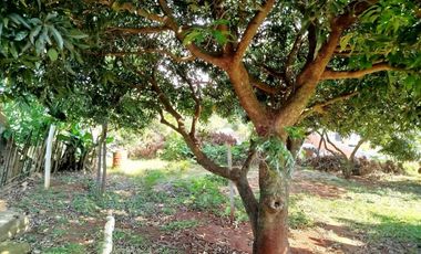 Casa en venta tres (3) dormitorios con excelente vista en Barrio Belgrano