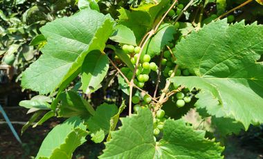 Casa en venta tres (3) dormitorios con excelente vista en Barrio Belgrano