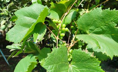 Casa en venta tres (3) dormitorios con excelente vista en Barrio Belgrano