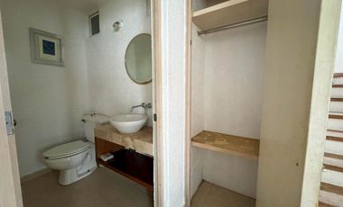 El Castaño Amueblado, Metepec