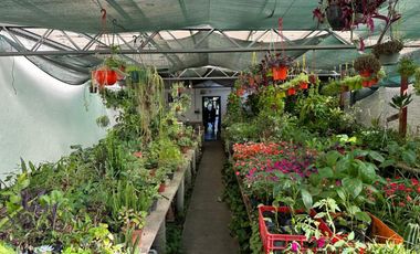 FONDO DE COMERCIO 40 AÃOS DE CLIENTELA