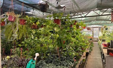 FONDO DE COMERCIO 40 AÃOS DE CLIENTELA