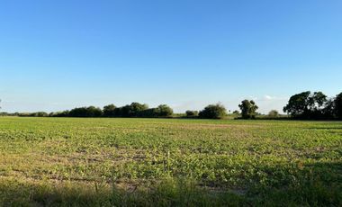 CASA + CAMPO 3 HAS + 2 GALPONES OPORTUNIDAD IMPERDIBLE DE INVERSION !!