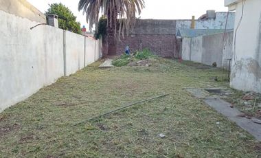 Munilla 2870 - Lote de 10 x 30