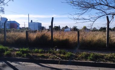 TERRENO EN ALQUILER 6000 METROS.- ALTO ALBERDI