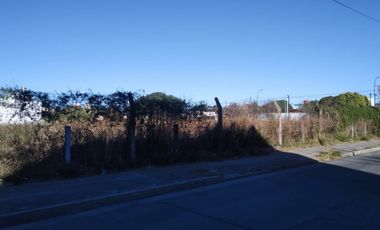 TERRENO EN ALQUILER 6000 METROS.- ALTO ALBERDI