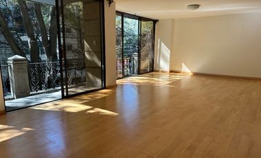 Polanco amplio departamento con terraza  frente al parque Lincoln!!