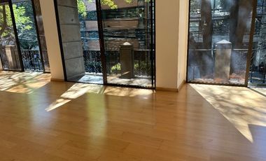 Polanco amplio departamento con terraza  frente al parque Lincoln!!