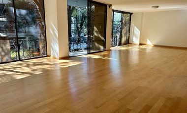 Polanco amplio departamento con terraza  frente al parque Lincoln!!