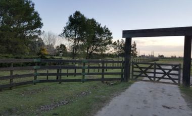 VENTA-Casa 2 amb. con galpon ,corrales, quincho y fabrica -Chacra - Carlos Keen- Barrio La Catalina