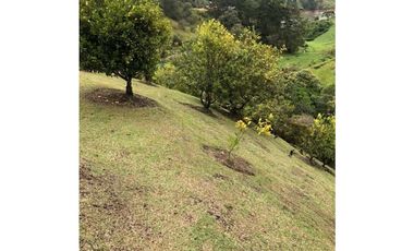 Casa en Venta en El Peñol