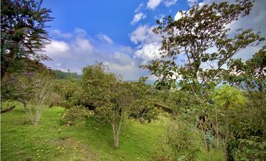 Venta Finca Independiente Increible Vista Santa Elena Medellin