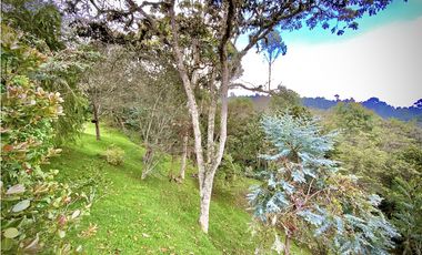 Venta Finca Independiente Increible Vista Santa Elena Medellin