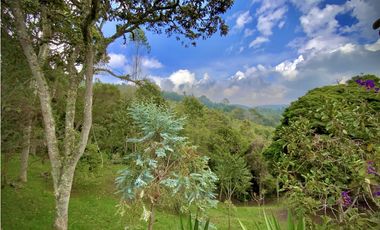 Venta Finca Independiente Increible Vista Santa Elena Medellin