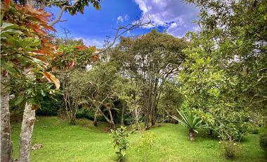 Venta Finca Independiente Increible Vista Santa Elena Medellin