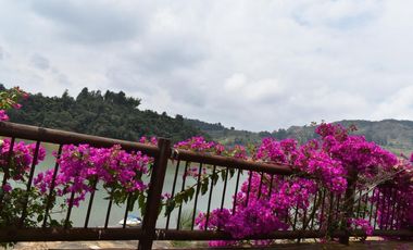 Casa campestre en Guatape