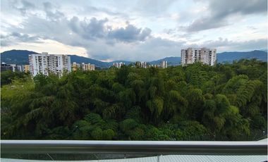 Matiz Dosquebradas: el espacio ideal para quienes buscan confort