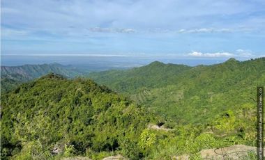 Finca en venta en sector de Marinka-.Oportunidad- Jonolura, Minca