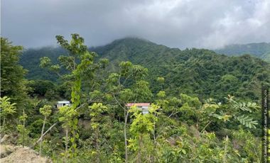 Finca en venta en sector de Marinka-.Oportunidad- Jonolura, Minca