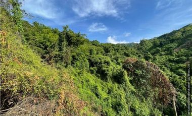 Finca en venta en sector de Marinka-.Oportunidad- Jonolura, Minca
