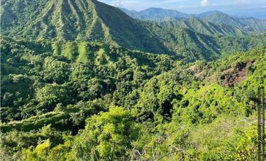 Finca en venta en sector de Marinka-.Oportunidad- Jonolura, Minca