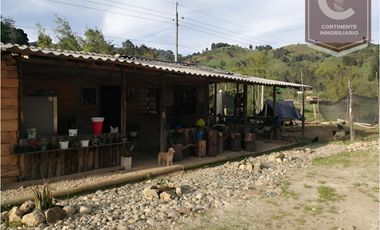 VENTA DE FINCA EN VEREDA ZANCUDITO - BELMIRA