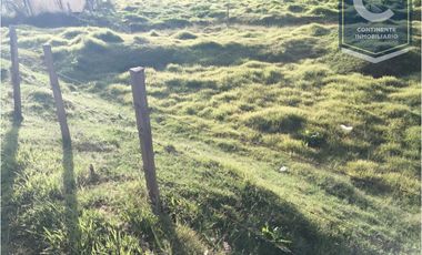 VENTA DE FINCA EN VEREDA ZANCUDITO - BELMIRA