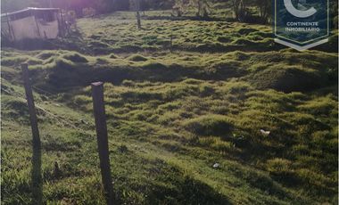 VENTA DE FINCA EN VEREDA ZANCUDITO - BELMIRA