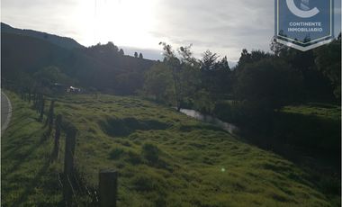 VENTA DE FINCA EN VEREDA ZANCUDITO - BELMIRA