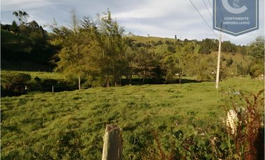 VENTA DE FINCA EN VEREDA ZANCUDITO - BELMIRA